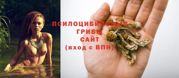 экстази Богородск