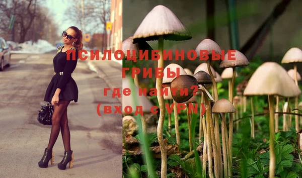 spice Снежинск