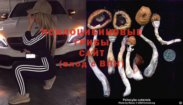 прущий лед Богородицк